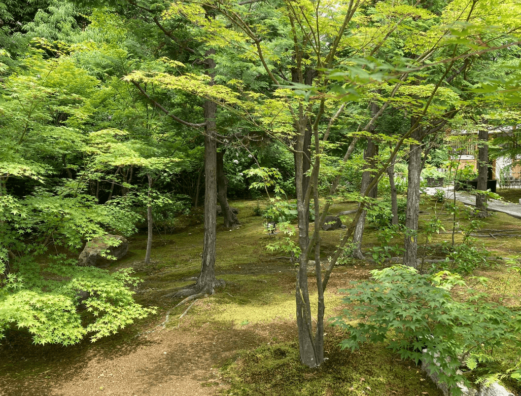 京都勝林寺の庭園を撮影した写真