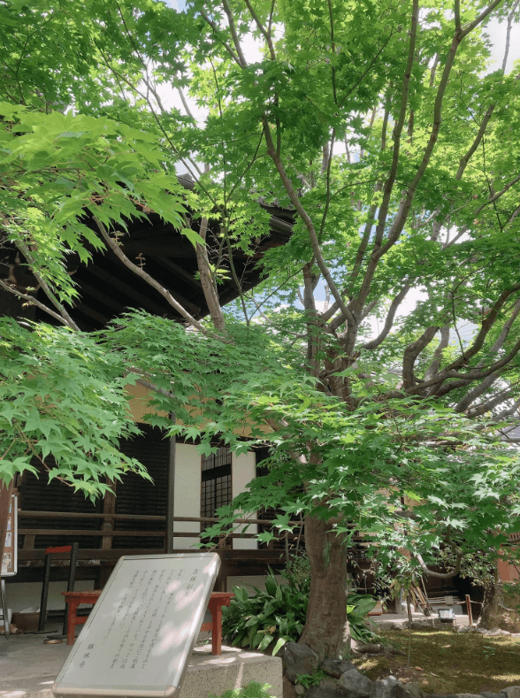 京都勝林寺の吉祥紅葉を撮影した写真