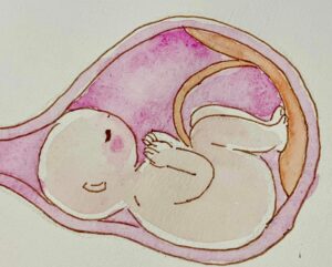 オラクルカードリーディン色彩ピンクんの印象子宮と胎児