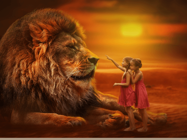オラクルカードの動物の意味と印象のライオンと女の子を撮影した写真
